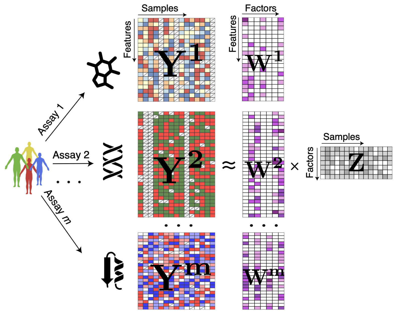 Multi-Omics Factor Analysis