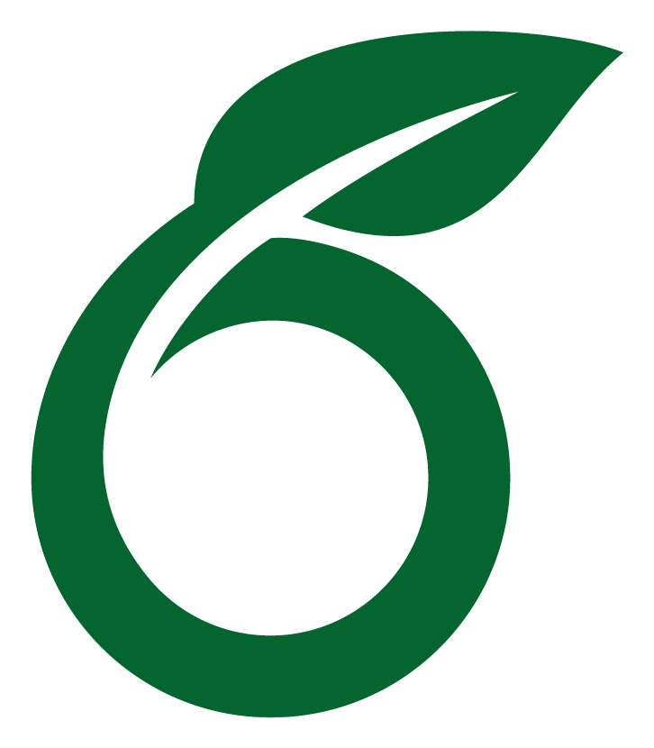 Overleaf Icon