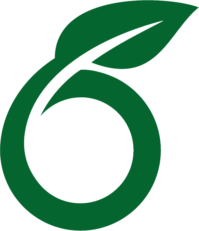 Overleaf Icon